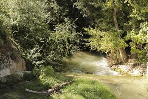 Turismo en el zona de periana, España foto