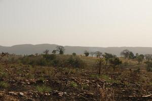 landscape in the north of benin photo