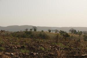 paisaje en el norte de benin foto