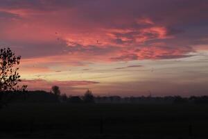 cloudy sunrise in the netherlands photo