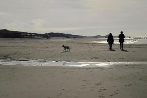 silhouette of people walking on the beach photo