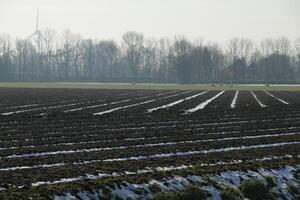 melting snow in Dutch landscape photo