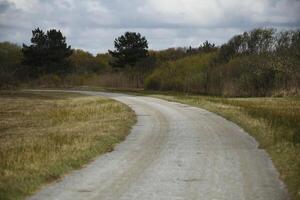 landscape, A round walk in the Zwanenwater nature reserve in , North Holland, the Netherlands photo