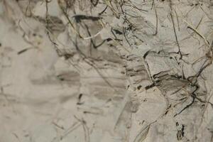 dunes at vlieland, the netherlands photo