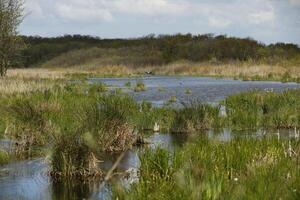 lakes, A round walk in the Zwanenwater nature reserve in , North Holland, the Netherlands photo