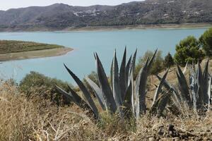 lake las mayoralas, periana, spain photo