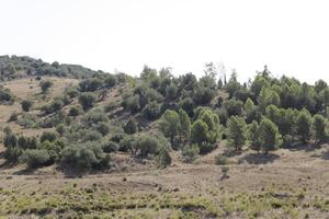 montañas paisaje en provincia málaga, España foto