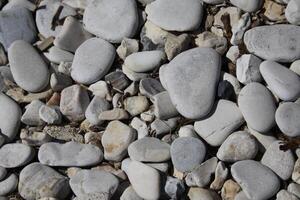 pebbles on the beach photo