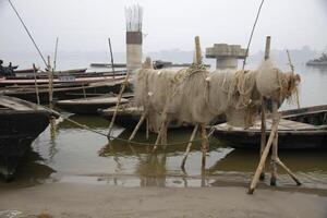 pescar redes colgando a seco, ganga río, Varanasi, India foto