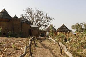 tata somba pueblos en el norte de benin foto