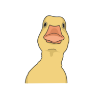 Pato meme adesivo ilustração png