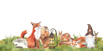 Cartoon woodland animals in summer grass, meadow grass. Character fox, gnome, rabbit in floral repeating border. Watercolor forest wildlife natural seamless frame childish design. Natural hand drawn png