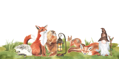 dessin animé des bois animaux dans été herbe, Prairie herbe. personnage Renard, gnome, lapin dans floral répéter frontière. aquarelle forêt faune Naturel sans couture Cadre puéril conception. Naturel main tiré png