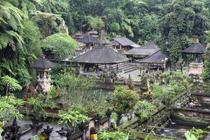 walking through the rice paddies, ubud photo