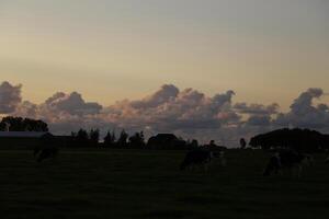 sunset in the netherlands, clouds, colors photo