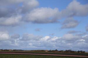 cloudscape in the spring, netherlands photo