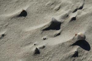 sand at the beach, vlieland, the netherlands photo