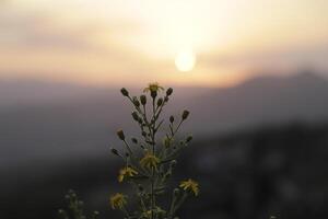 puesta de sol detrás el montañas, España foto