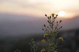 sunset behind the mountains, Spain photo