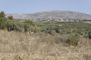 landscape around lake las mayoralas, periana, spain photo