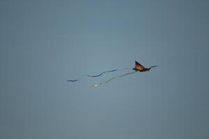 kite flies in the sky playing at the beach, the north sea at petten, the netherlands photo