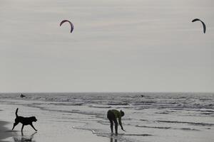 beach in the winter, kitesurfing, in the netherlands photo