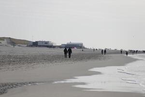 people walking, beach in the winter, netherlands photo