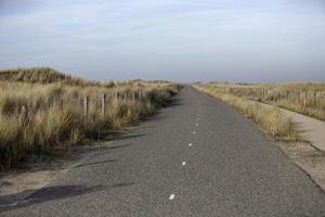 walking and bicycling path in the dunes,beach in the winter, netherlands photo