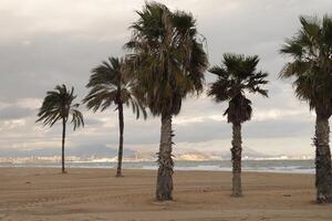 ver en alicante, playa a urbanova, enero, invierno hora foto