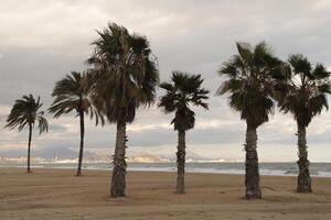 view on alicante, beach at urbanova, january, winter time photo