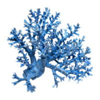 Blue Coral Plant on Transparent Background png