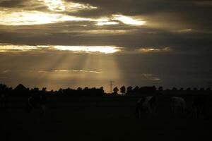 sunset in the netherlands, clouds, colors photo