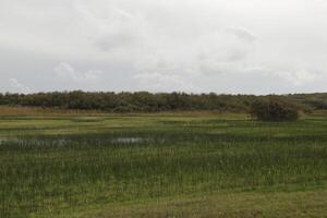 Zwanenwater nature park in the autumn, netherlands photo