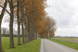 holandés paisaje en el primavera foto