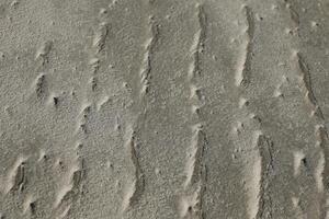 sand at the beach, vlieland, the netherlands photo