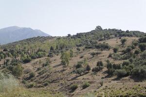 mountains landscape in province Malaga, Spain photo