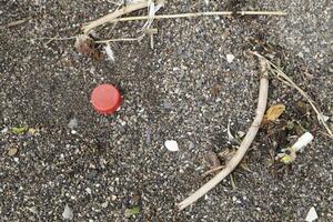 beach after storm, danger to marine life, plastic waste, plastic junk, plastic, marine life in danger, polluting people photo