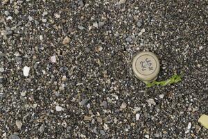 beach after storm, danger to marine life, plastic waste, plastic junk, plastic, marine life in danger, polluting people photo