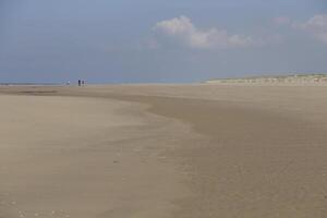 the beach at camperduin, the netherlands photo