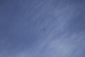 blue sky with some clouds photo