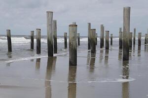 pole village, this was the location of the former village Petten, before it was taken by the sea,village petten at the north sea, the netherlands, photo