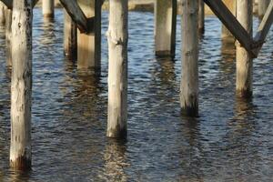 poles in the the north sea at petten, the netherlands photo