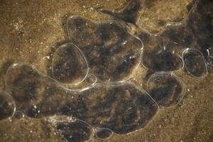 amazing, never seen it before, ice on the salt water and sand, beach, north sea,winter in the netherlands photo