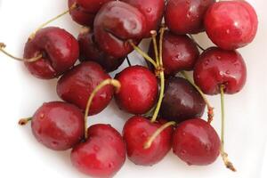 close up of cherries, red fruit photo