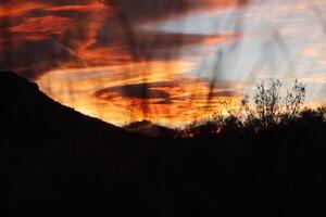 extreme colors during sunset photo