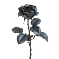 Black Rose Flower on Transparent Background png