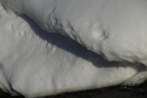 derritiendo nieve en holandés paisaje foto