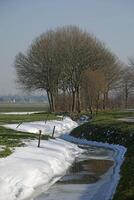 derritiendo nieve en holandés paisaje foto