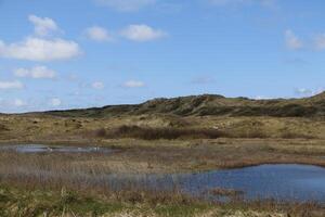 wetlands, shallow lakes in the dunes, vlieland, the netherlands photo