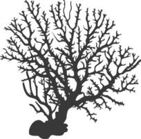 silhouette corals are marine invertebrate animal black color only vector